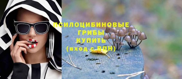 тгк Абаза