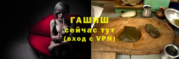 индика Осташков
