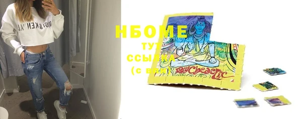 индика Осташков