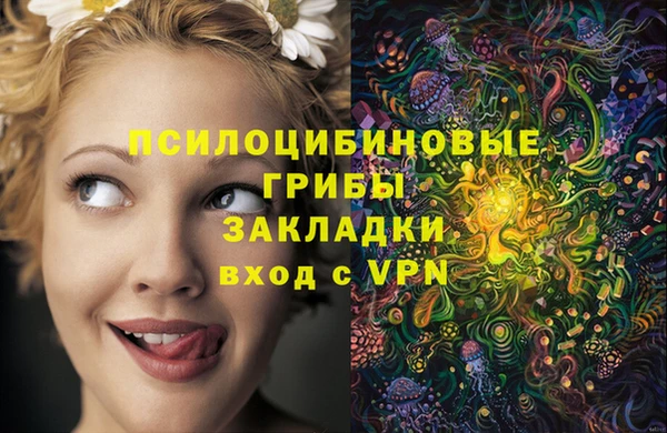 СК Алексин