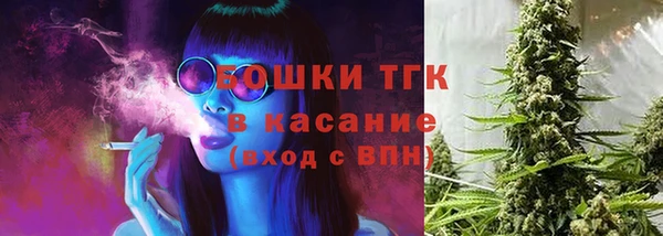 СК Алексин